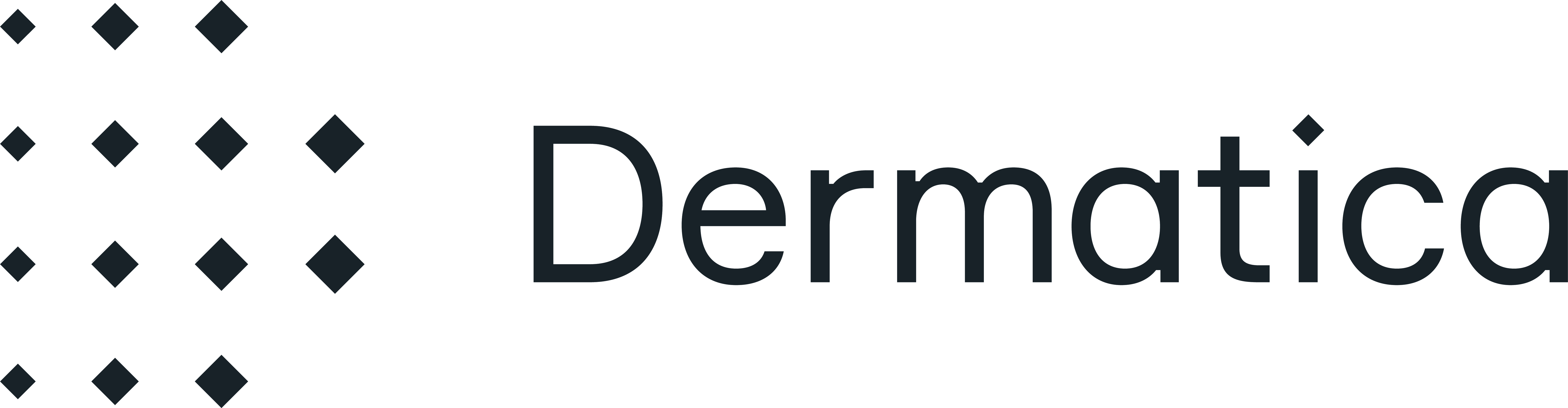 Dermatica_Lockup_Horizontal_Charcoal_CMYK